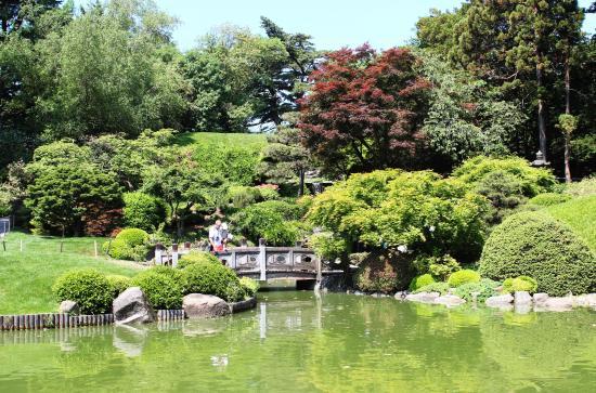 Brooklyn botaniske hager